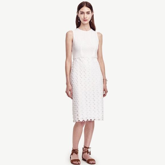 Ann Taylor Dresses & Skirts - Ann Taylor Geo Eyelet Sheath Dress Crisp White Petite